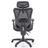 Fotel Obrotowy Ergonomiczny RAMOS Czarny Tył