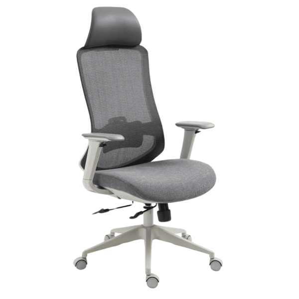 Fotel Ergonomiczny Obrotowy Biurowy Siatka do Gabinetu Biura Szary EXENTO