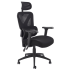 Ergonomiczny Fotel Obrotowy Biurowy Gabinetowy Czarny MULTIBLOCK Siatka Halmar ASTRAL
