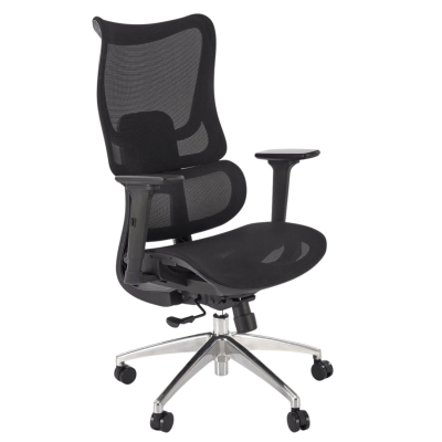 Fotel Obrotowy Ergonomiczny Gabinetowy Biurowy Siatka do Komputera Czarny CASPER Halmar