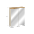 Szafka Z Lustrem 60Cm 2 Drzwi