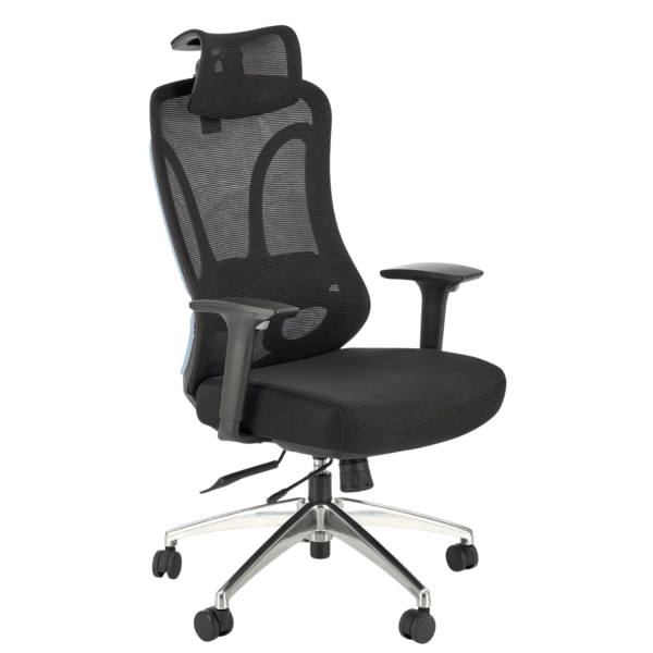 Ergonomiczny Fotel Obrotowy Biurowy do Komputera Modern Czarny Siatka GILBERTO Halmar