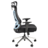 Ergonomiczny Fotel Obrotowy Biurowy do Komputera Modern Czarny Siatka GILBERTO Halmar