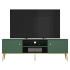 Szafka RTV Pod Telewizor Stolik RTV Niska Komoda 160 cm Zielona Labrador Glamour FOREST 05
