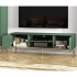 Szafka RTV Pod Telewizor Stolik RTV Niska Komoda 160 cm Zielona Labrador Glamour FOREST 05