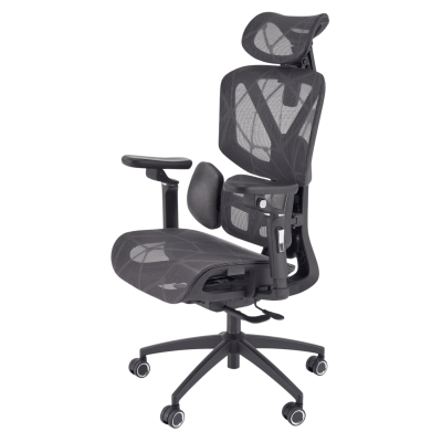 Nowoczesny Ergonomiczny Fotel Gabinetowy z Funkcją MULTIBLOCK do Biura Gabinetu Czarny Siatka CUBUS Halmar