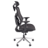 Ergonomiczny Fotel Gabinetowy Mechanizm Synchroniczny do Biura Siatka Czarny OTIS Halmar