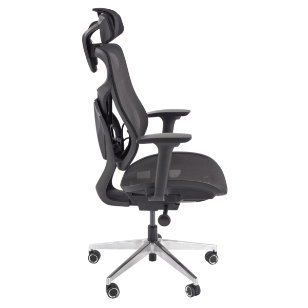 Ergonomiczny Fotel Gabinetowy Mechanizm Synchroniczny do Biura Siatka Czarny OTIS Halmar