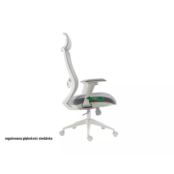 Fotel Obrotowy Ergon