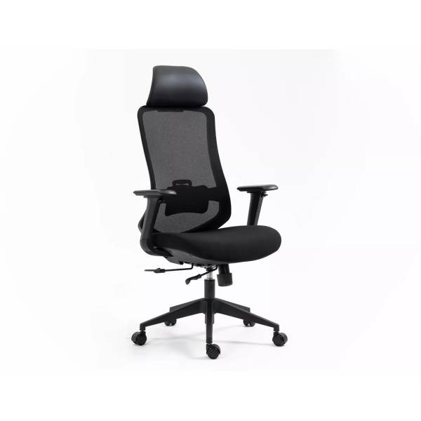 Fotel Obrotowy Ergon